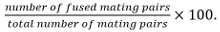 figure-protocol-14066