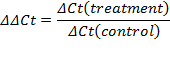 figure-protocol-5407