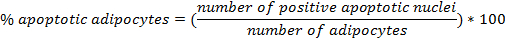 figure-protocol-18276