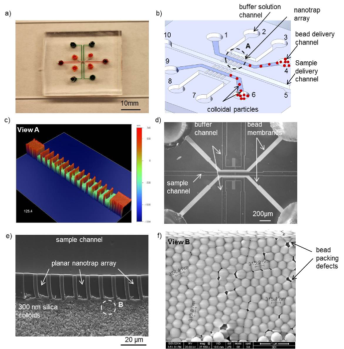 Hydrophobic Polydimethylsiloxane (PDMS) Coating of Mesoporous Silica and  Its Use as a Preconcentrating Agent of Gas Analytes