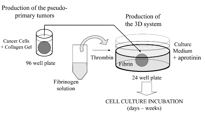 figure-introduction-3521