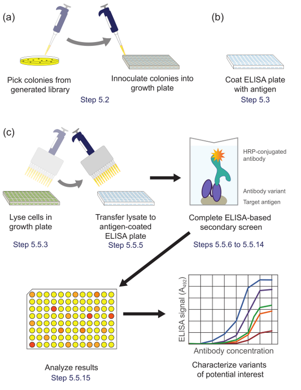 figure-protocol-23409