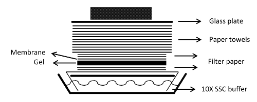 figure-results-922