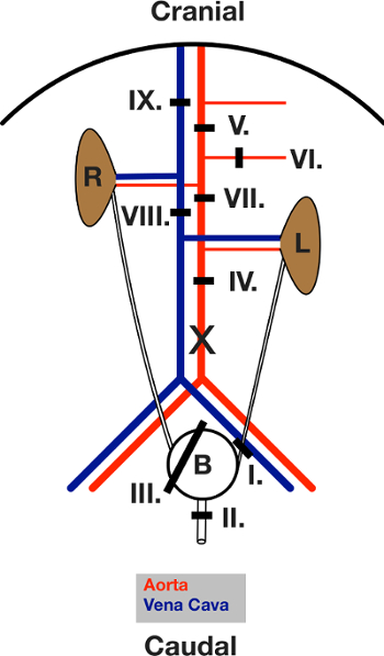 figure-protocol-6090