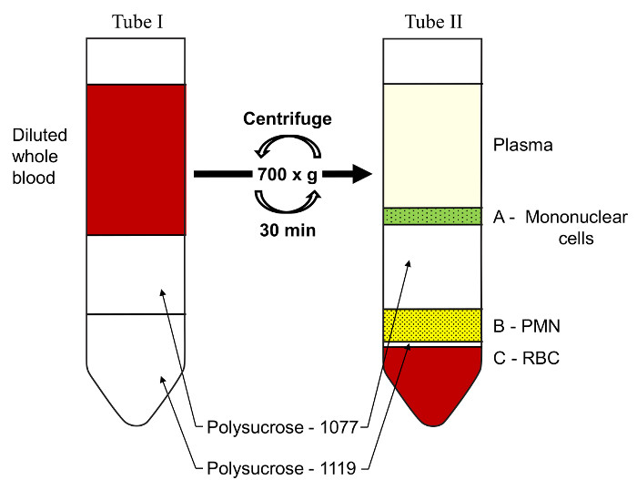 figure-protocol-1600