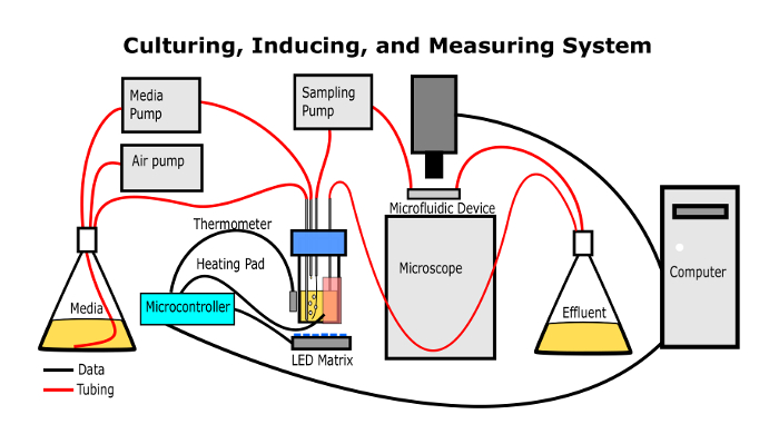 figure-protocol-4