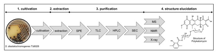 figure-protocol-5651