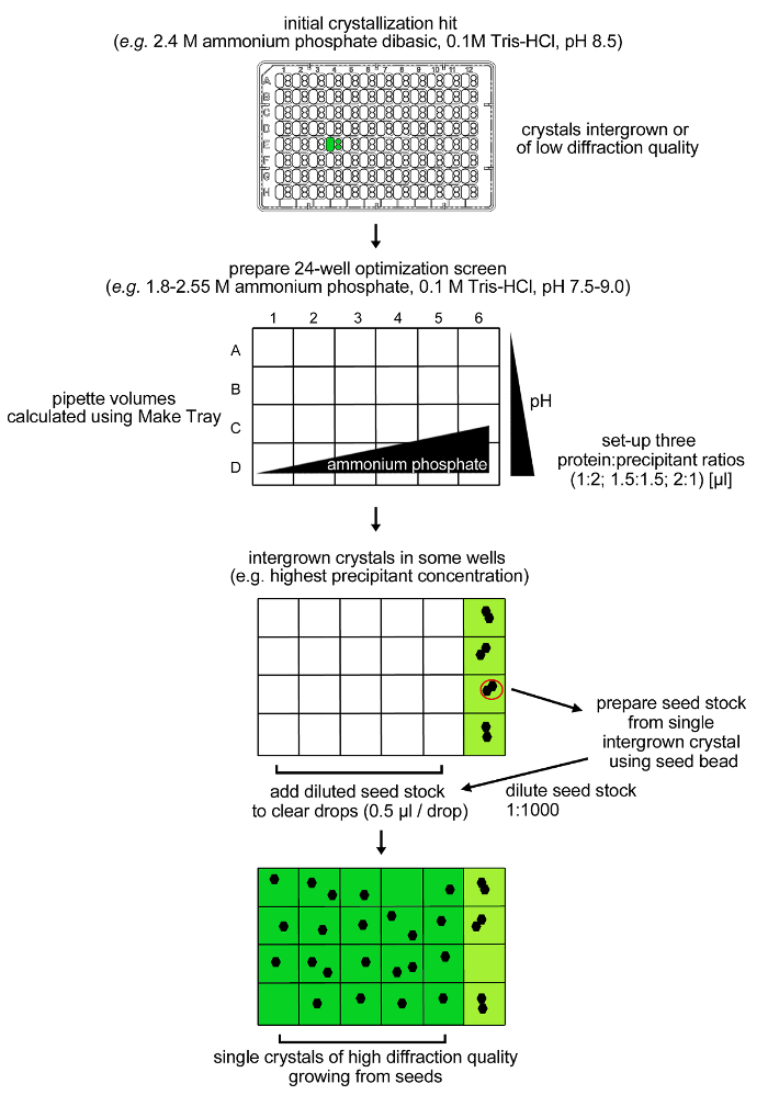 figure-protocol-11486