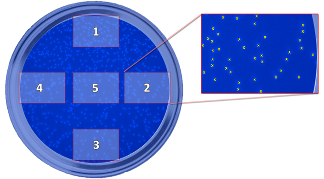 figure-protocol-9656
