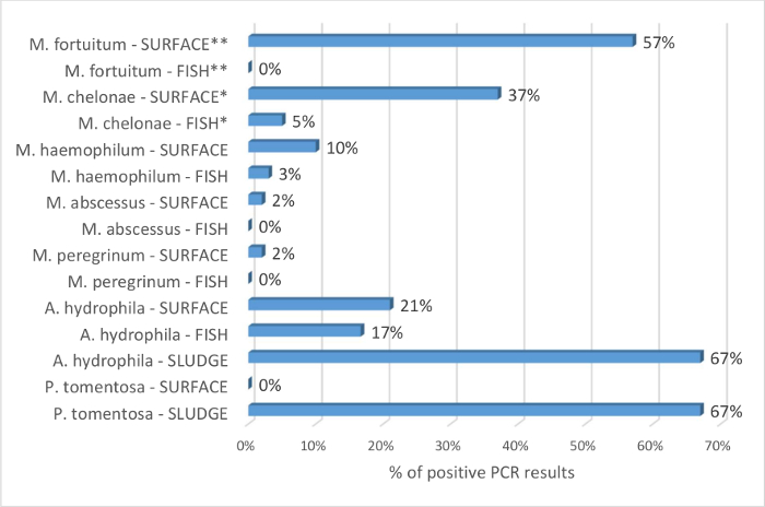 figure-results-2628