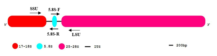 figure-representative results-3822