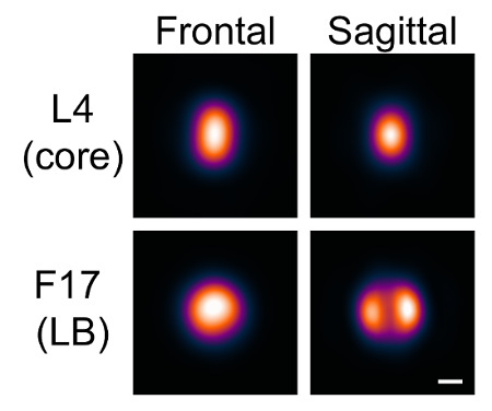 figure-representative results-8190