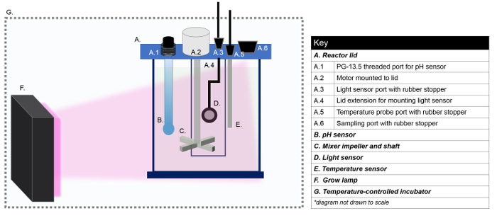 figure-protocol-23976