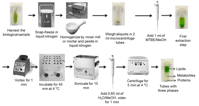 figure-results-4534