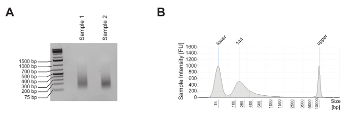 figure-representative results-2635