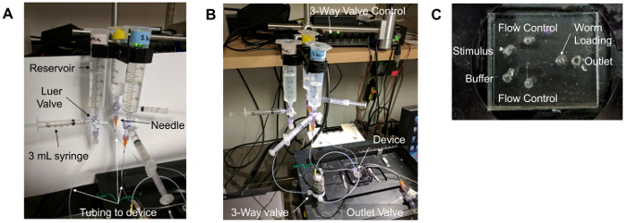 figure-protocol-4056