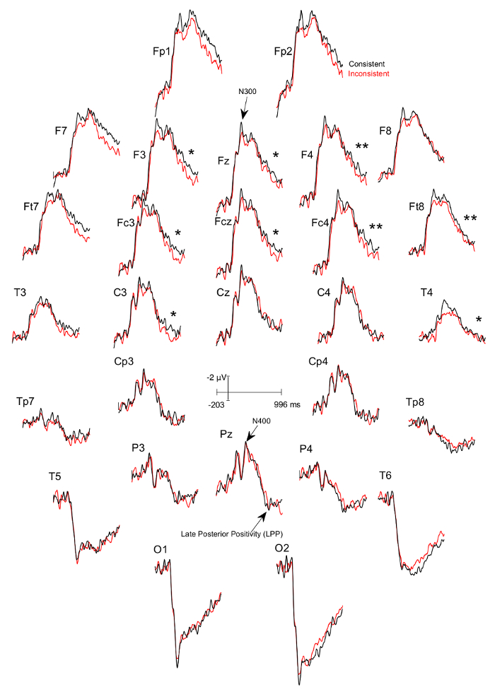 figure-representative results-3905