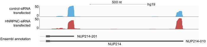 figure-results-3882