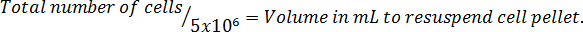 figure-protocol-6274
