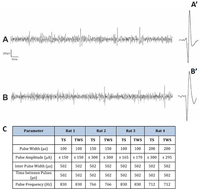 figure-representative results-11437