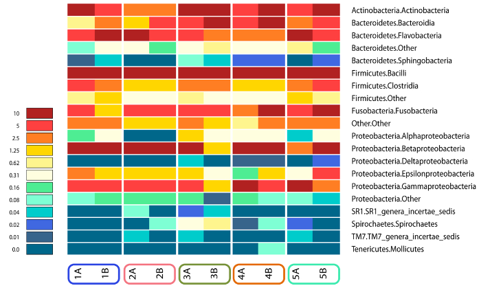 figure-representative results-8253