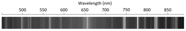 figure-representative results-9274