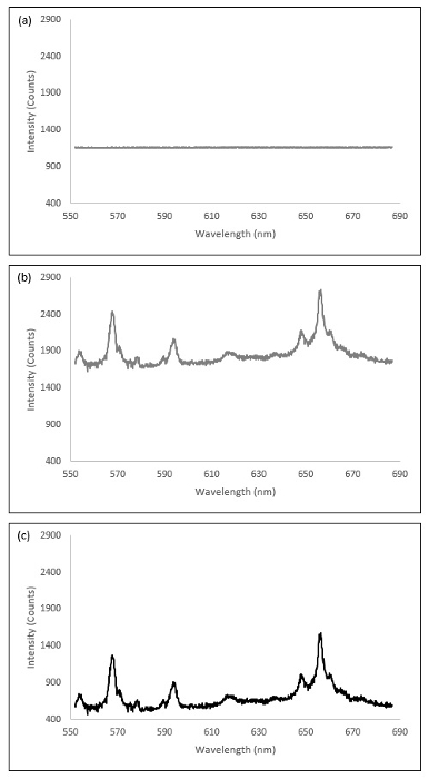 figure-representative results-5570