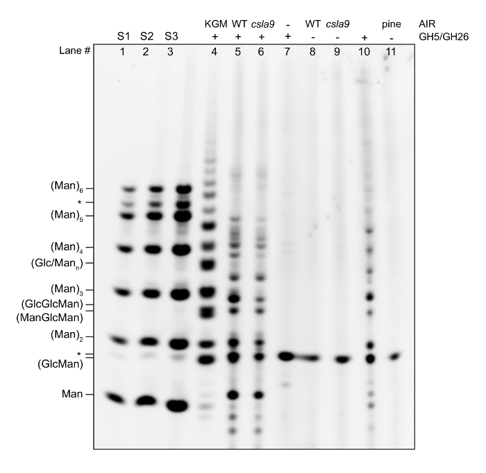 figure-representative results-7866