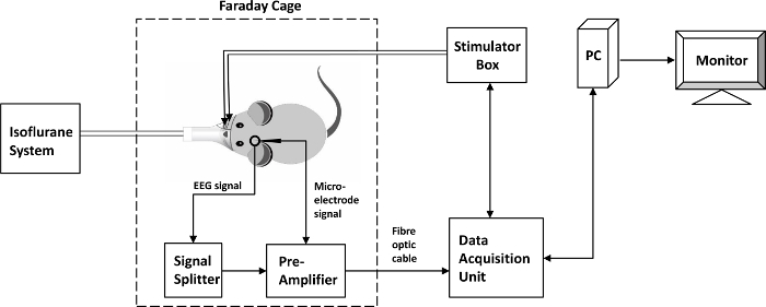 figure-protocol-9822