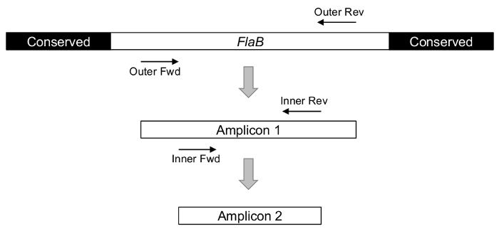 figure-introduction-3347