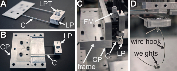 figure-protocol-430