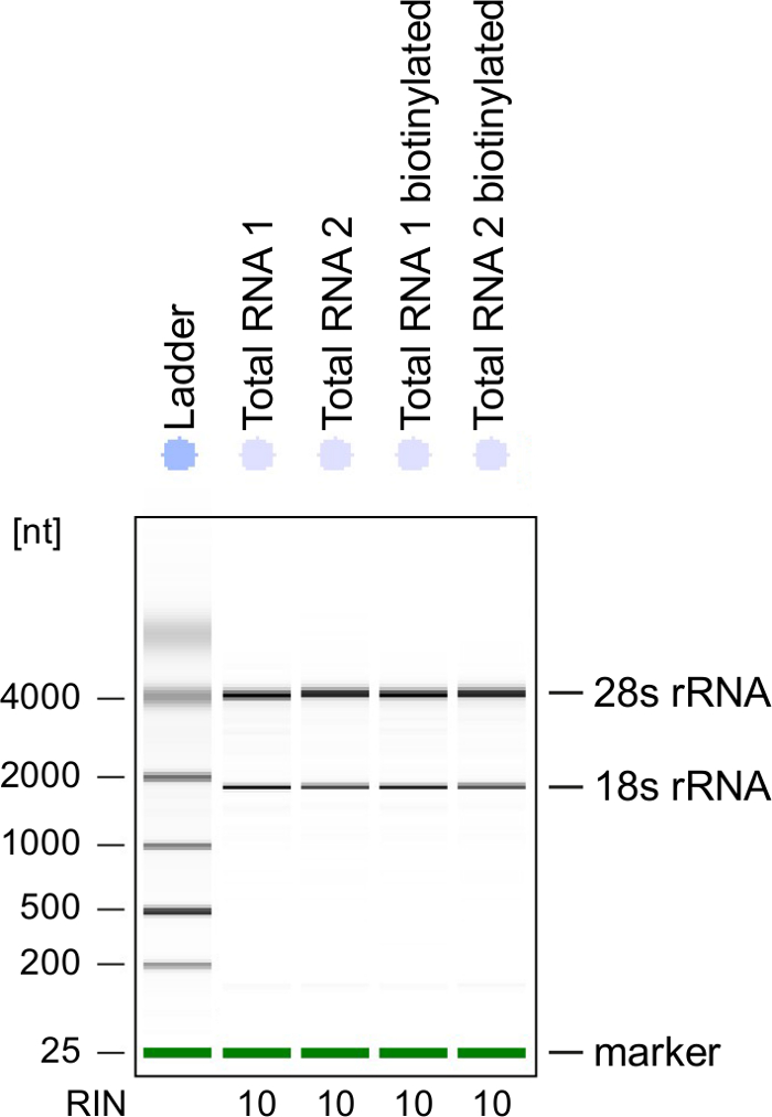 figure-representative results-9069