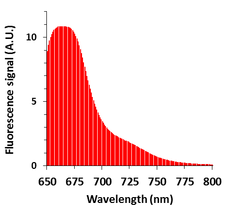 figure-representative results-5519