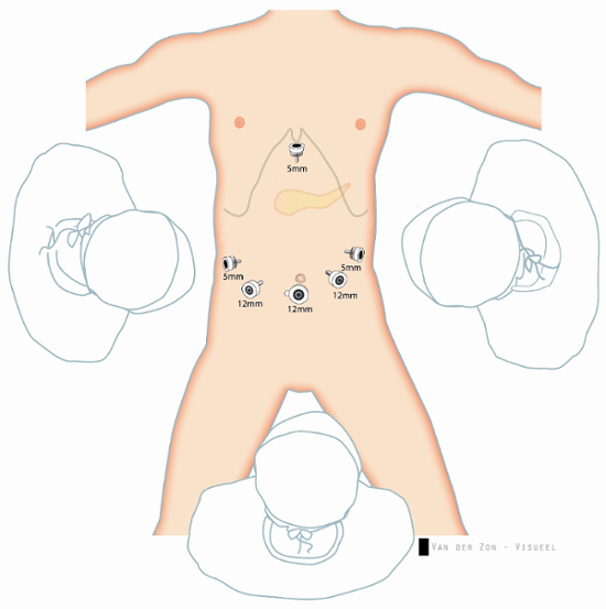 figure-representative results-1173