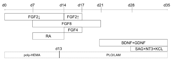 figure-results-4144