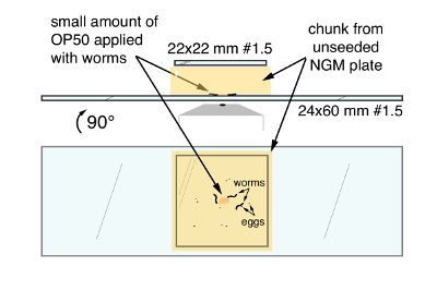 figure-results-4301