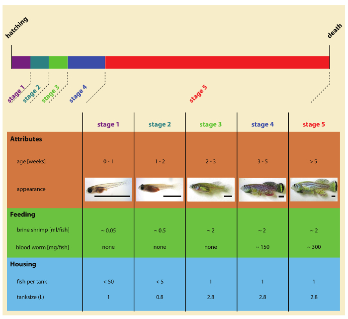 figure-representative results-1347