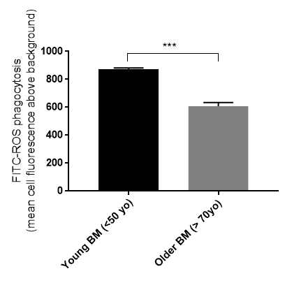figure-results-3826