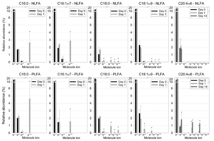 Fettsyrer 13C Isotopologue profilering gir innsikt i Trophic karbon  overføring og Lipid metabolismen av virvelløse forbrukere