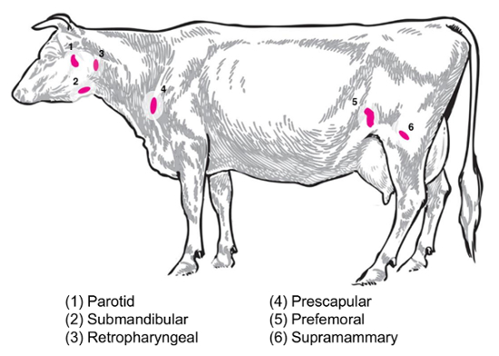figure-introduction-3360
