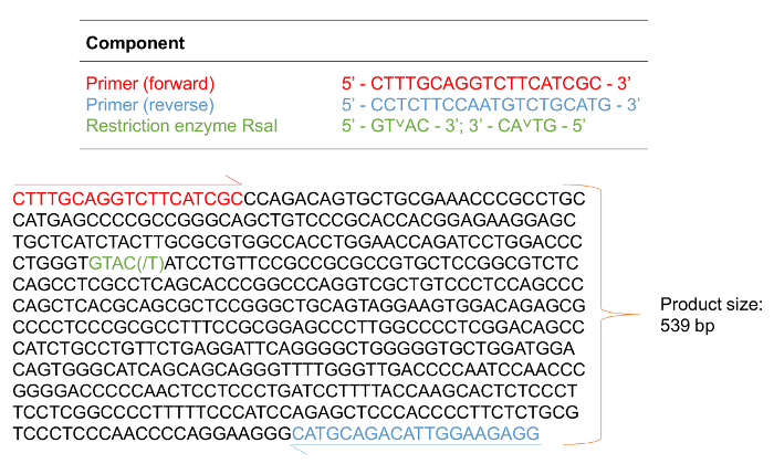 figure-results-5074