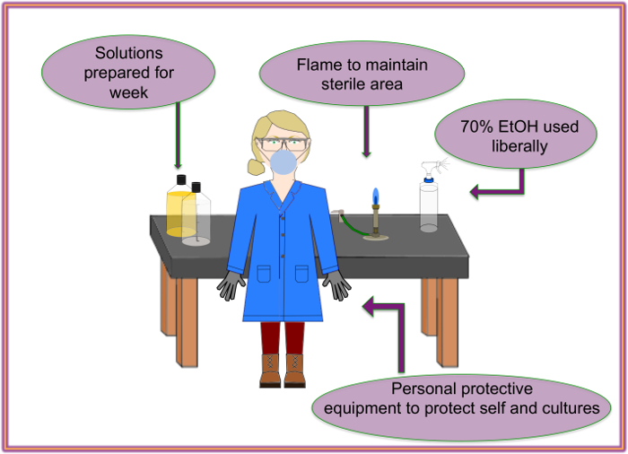 figure-protocol-1476