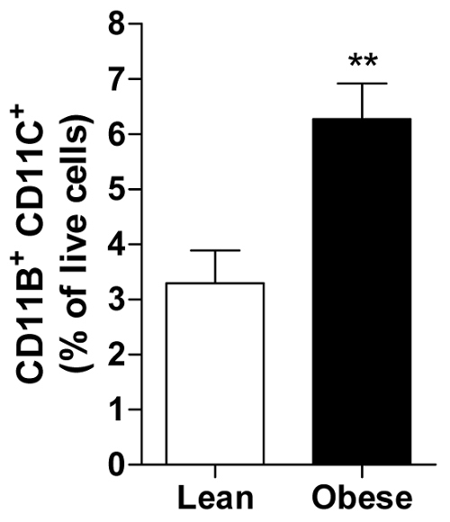 figure-representative results-5355