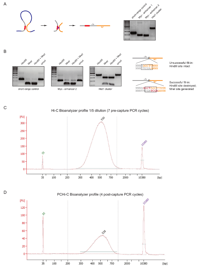 figure-representative results-10124