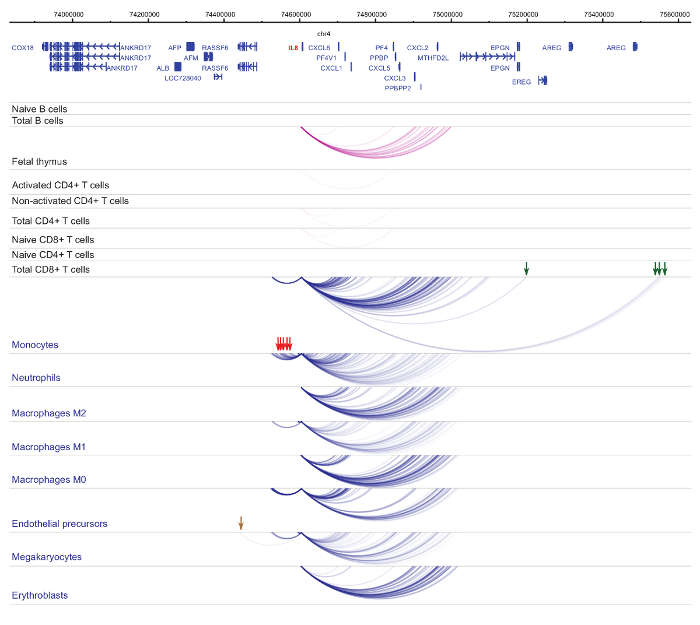 figure-representative results-13386