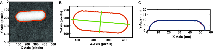 figure-representative results-8205