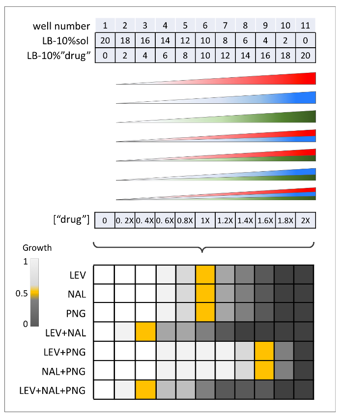 figure-representative results-9957