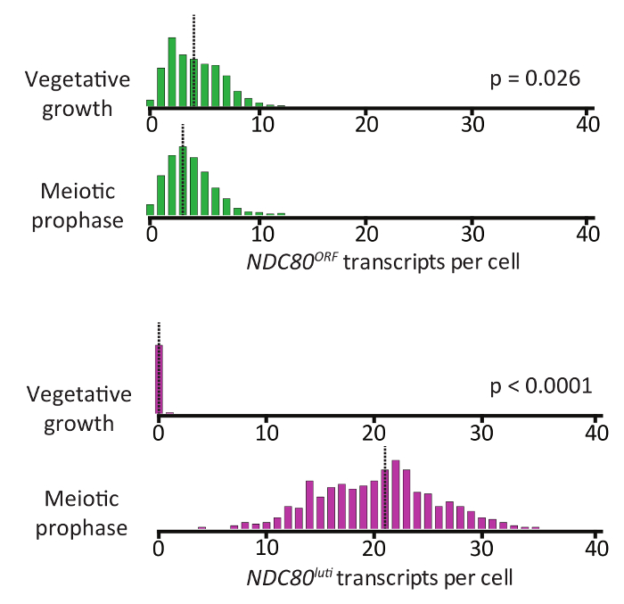 figure-representative results-20047