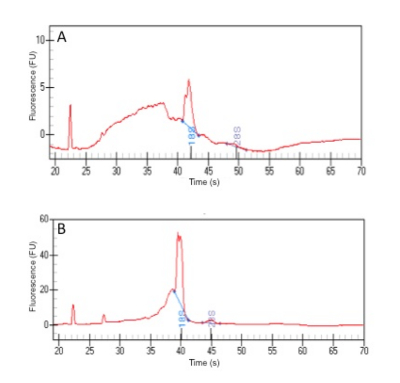 figure-representative results-9575