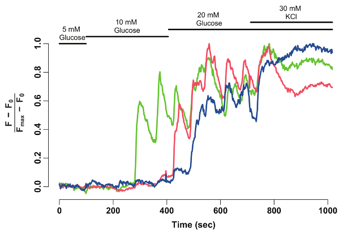 figure-representative results-2263